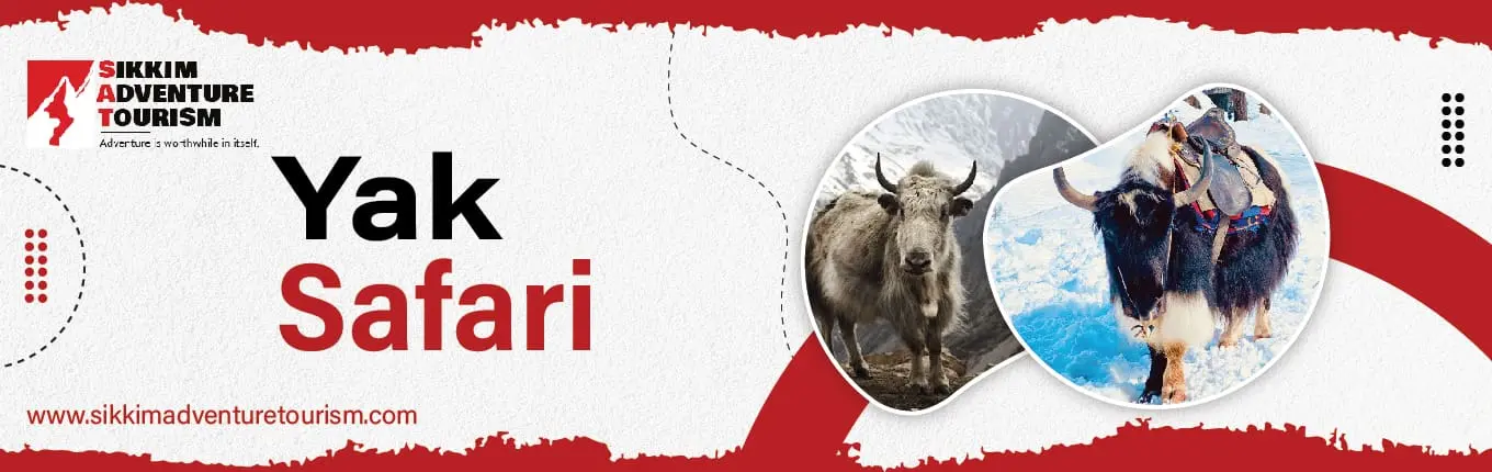 yak-safari