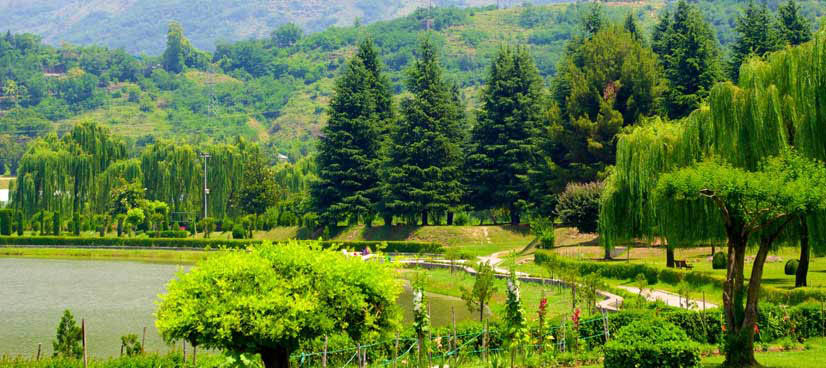 Jawaharlal Nehru Botanical Garden